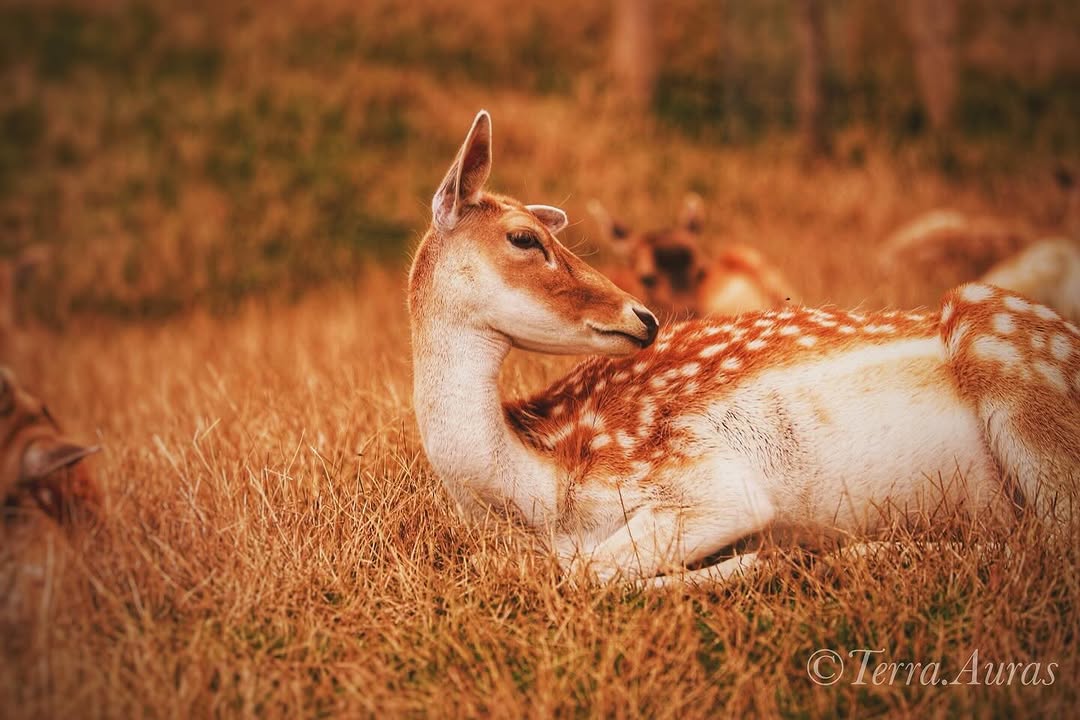 2024-06-05_17-49-30_UTC