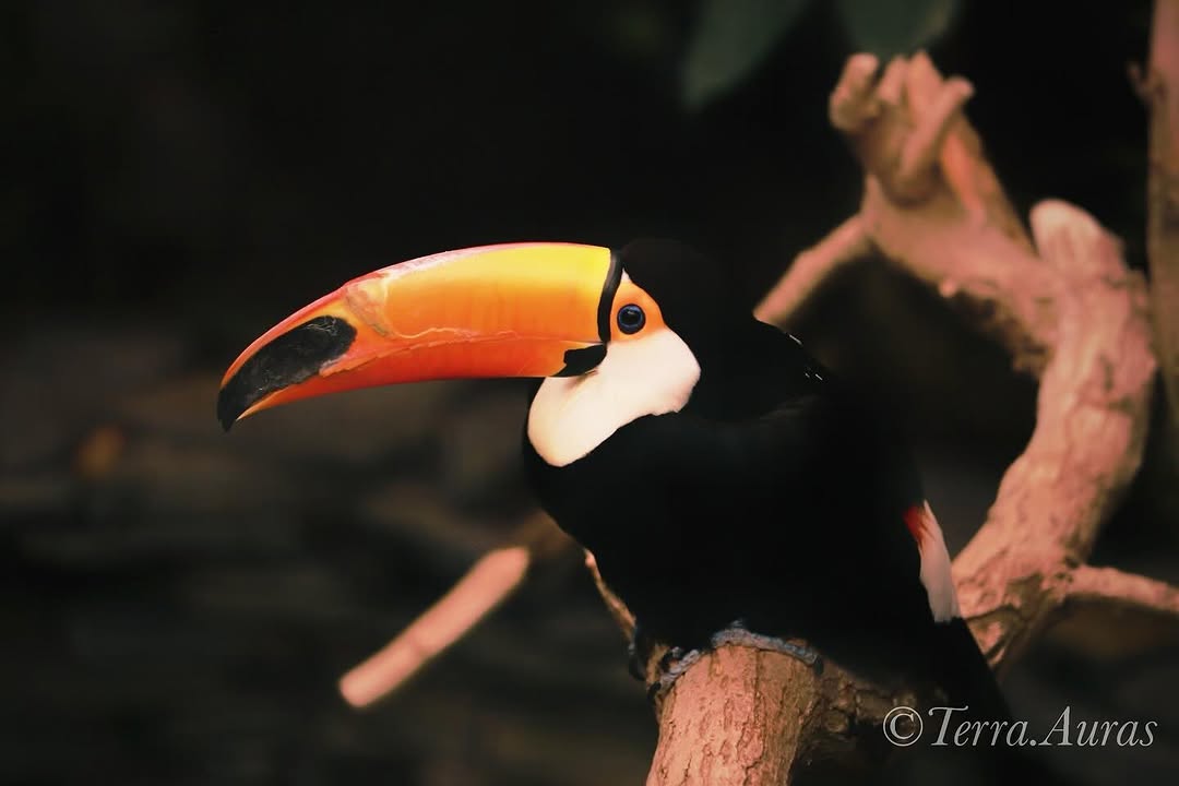 2024-07-04_13-14-22_UTC