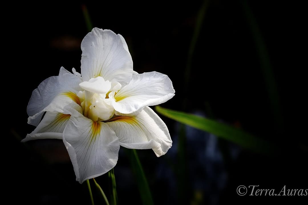 2024-07-28_10-33-27_UTC