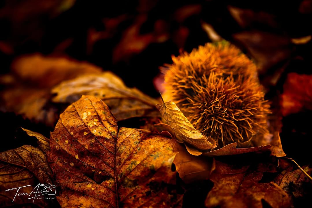 2024-12-15_18-02-27_UTC