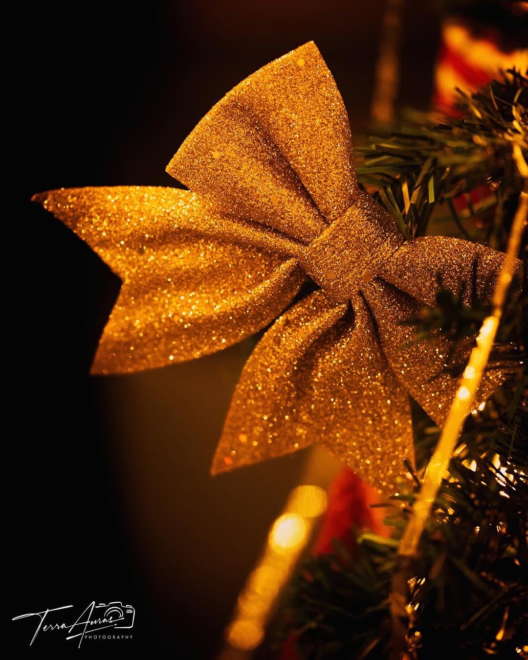 2024-12-22_15-10-11_UTC