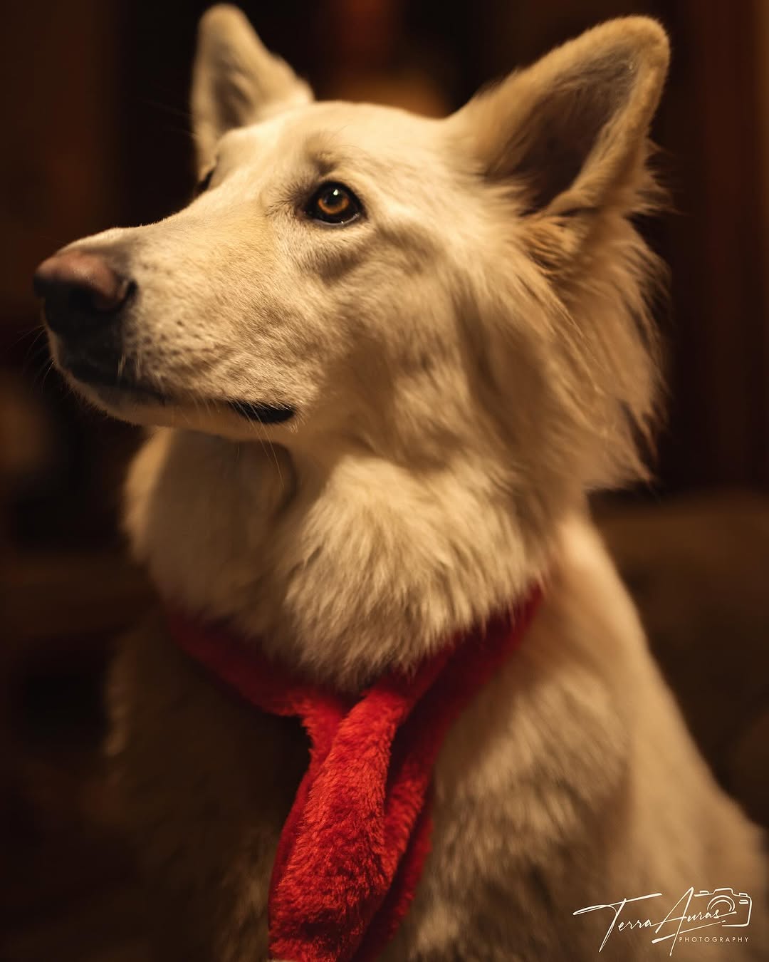 2025-01-12_09-00-00_UTC