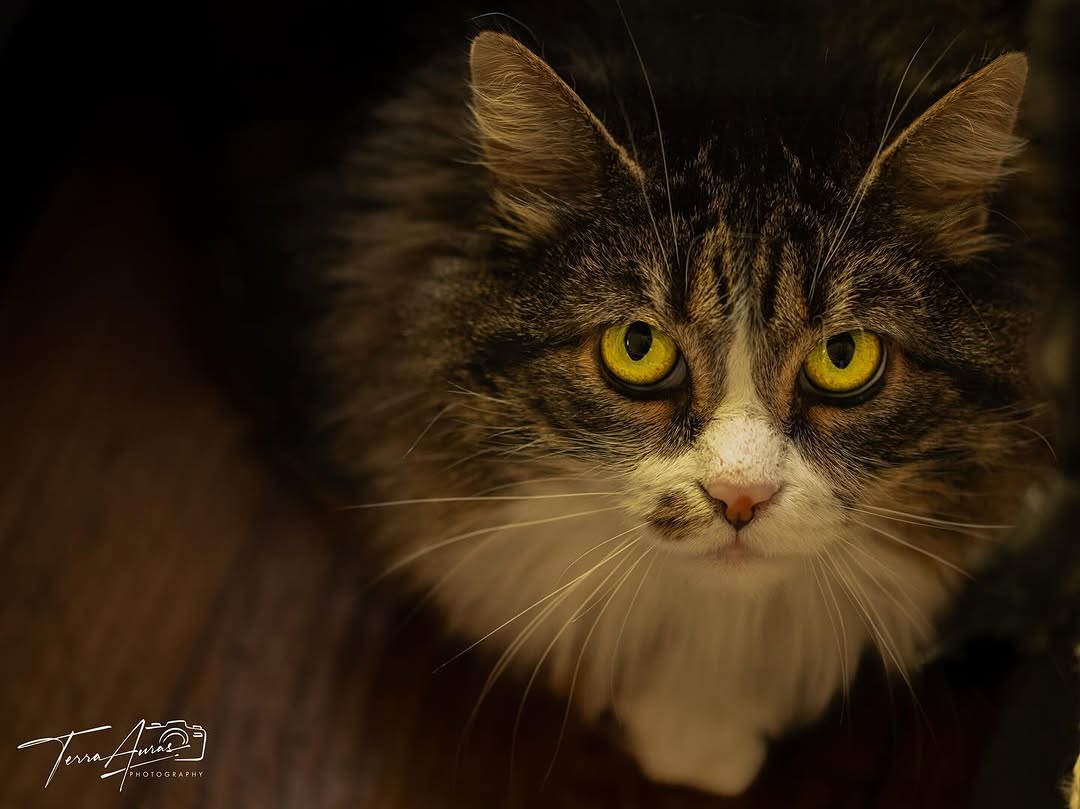 2025-02-16_11-53-54_UTC