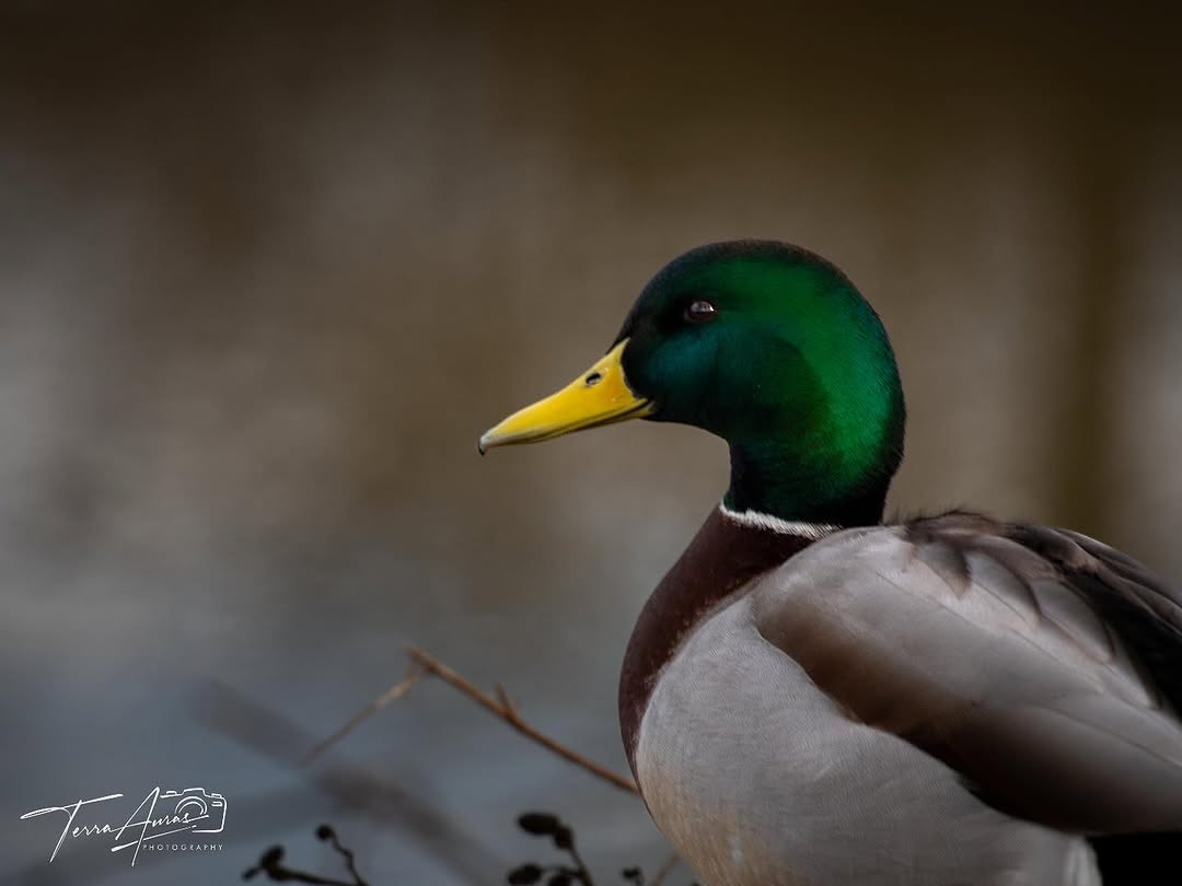 2025-03-09_18-15-12_UTC