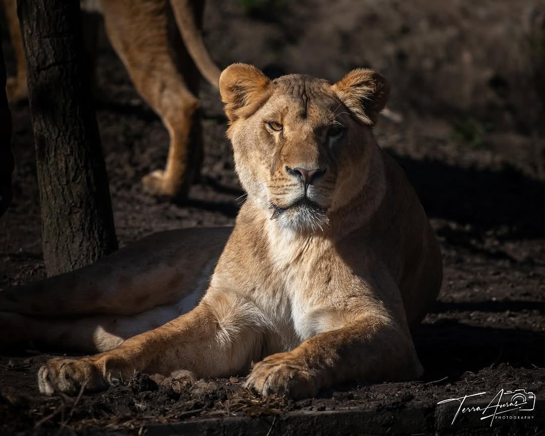 2025-03-16_12-28-50_UTC