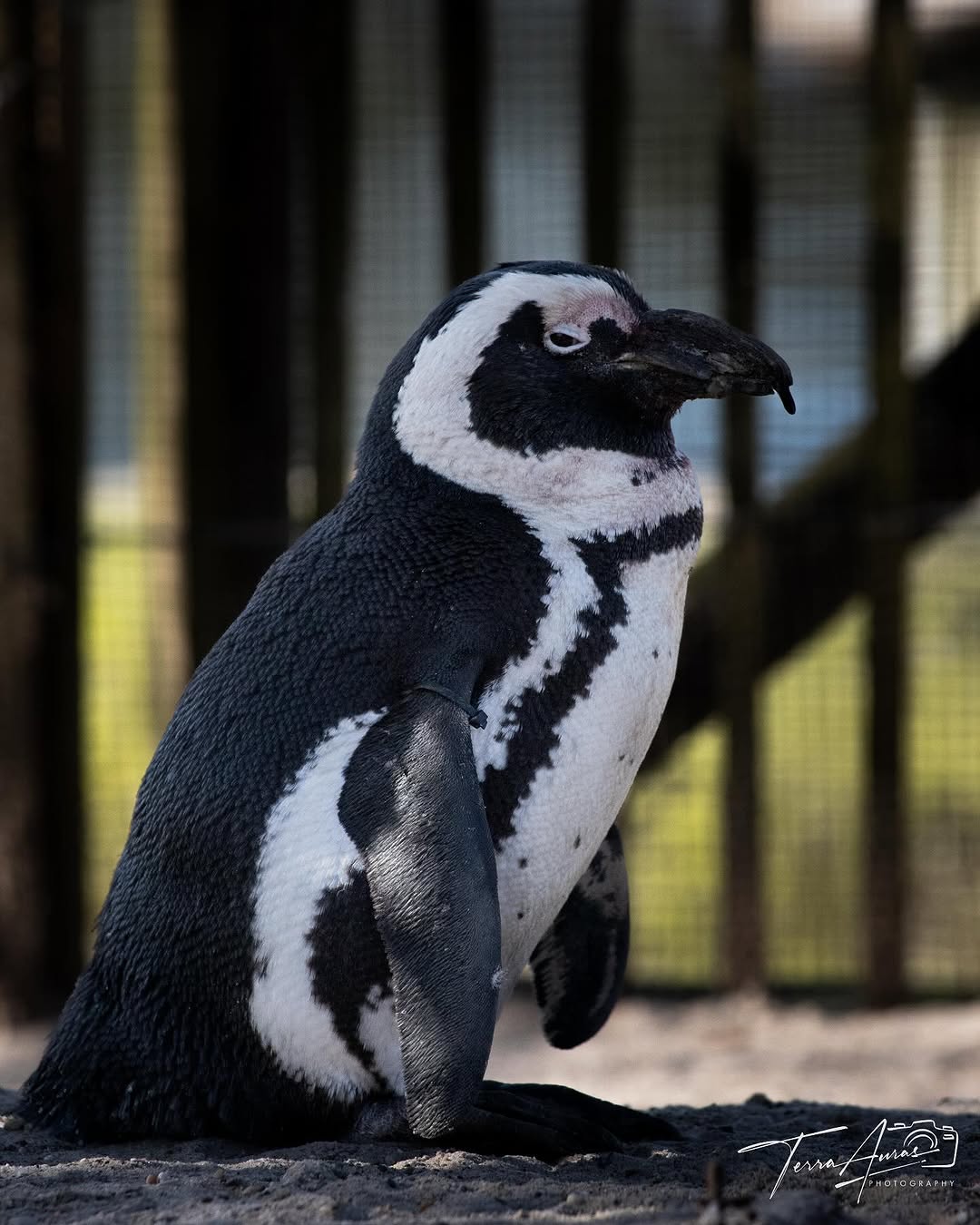 2025-04-07_15-08-12_UTC