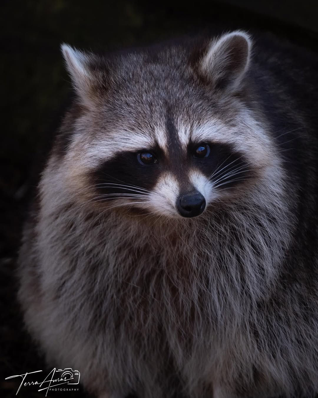 2025-05-05_14-36-02_UTC