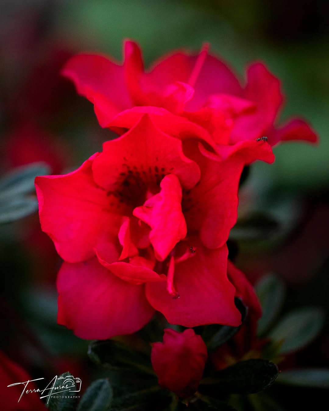 2025-05-18_17-52-39_UTC