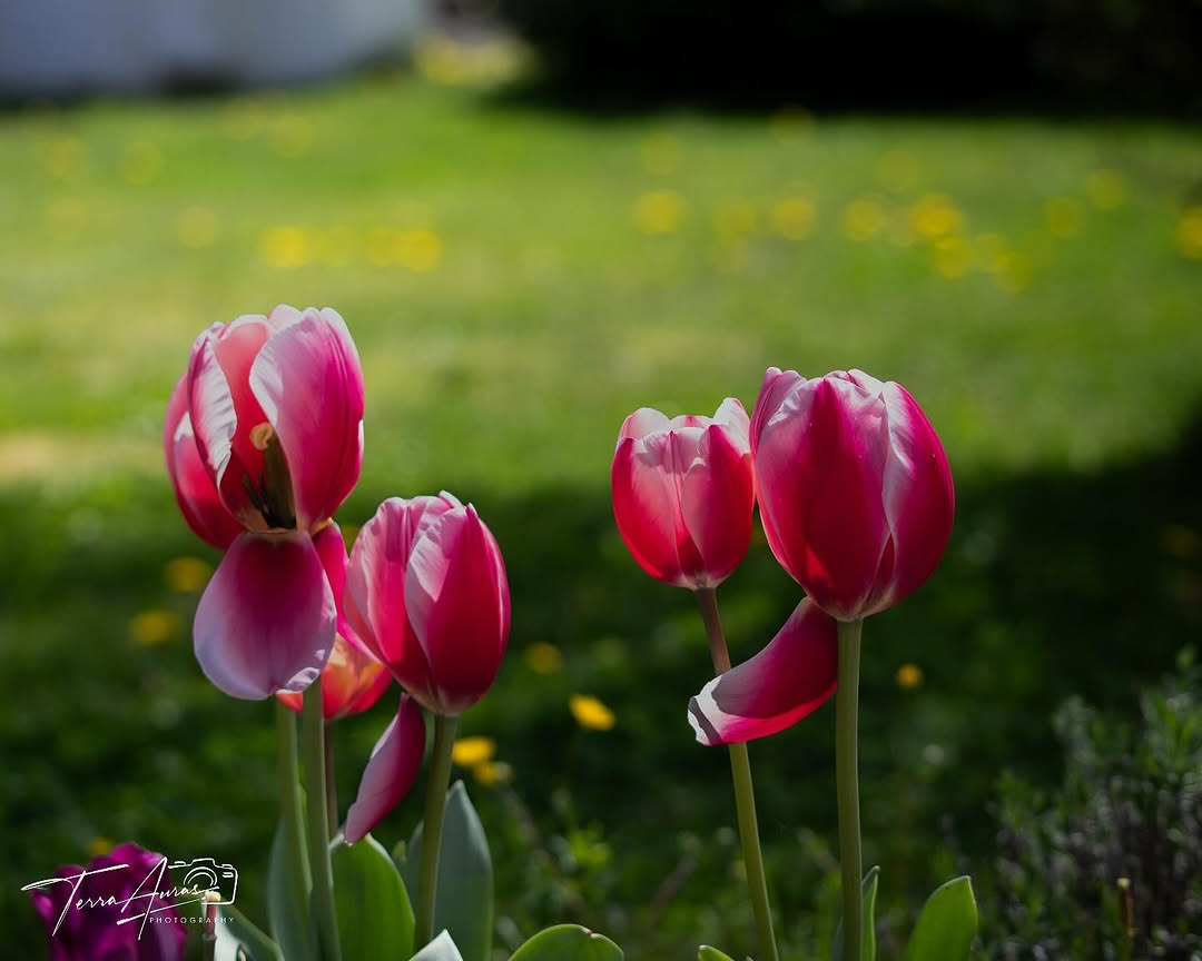 2025-05-25_14-03-52_UTC