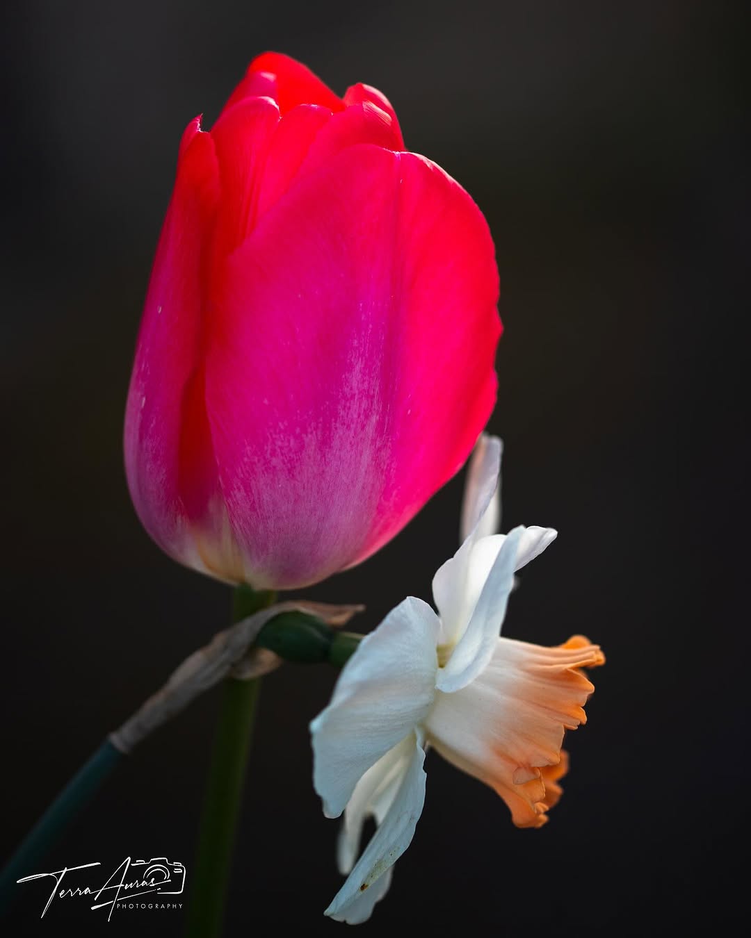 2025-06-22_15-33-05_UTC