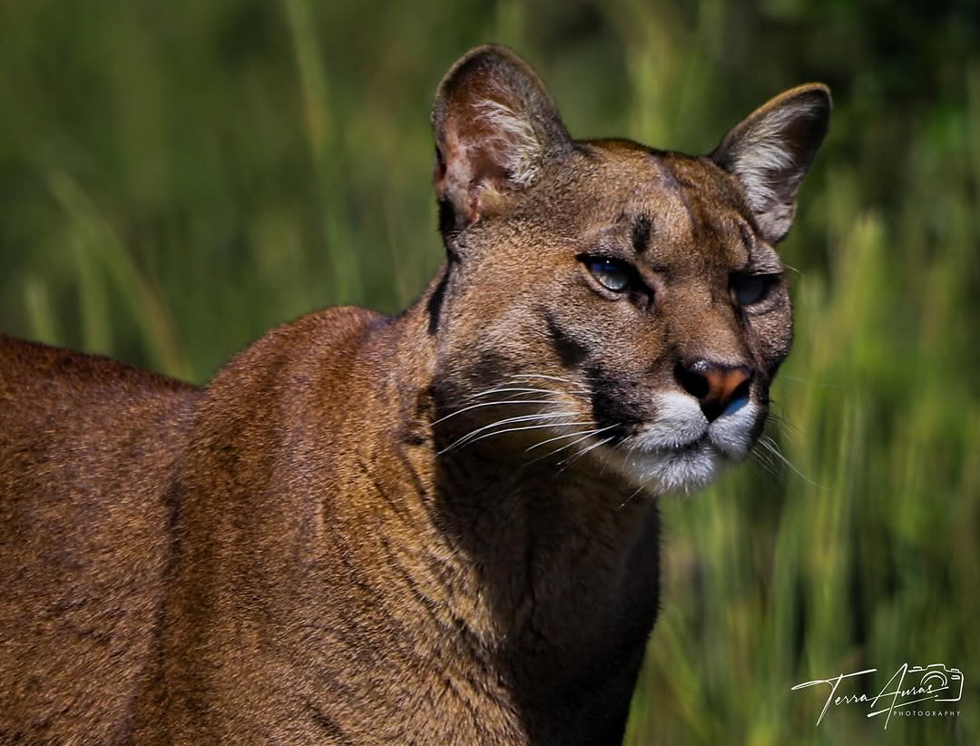 2025-07-20_09-37-06_UTC