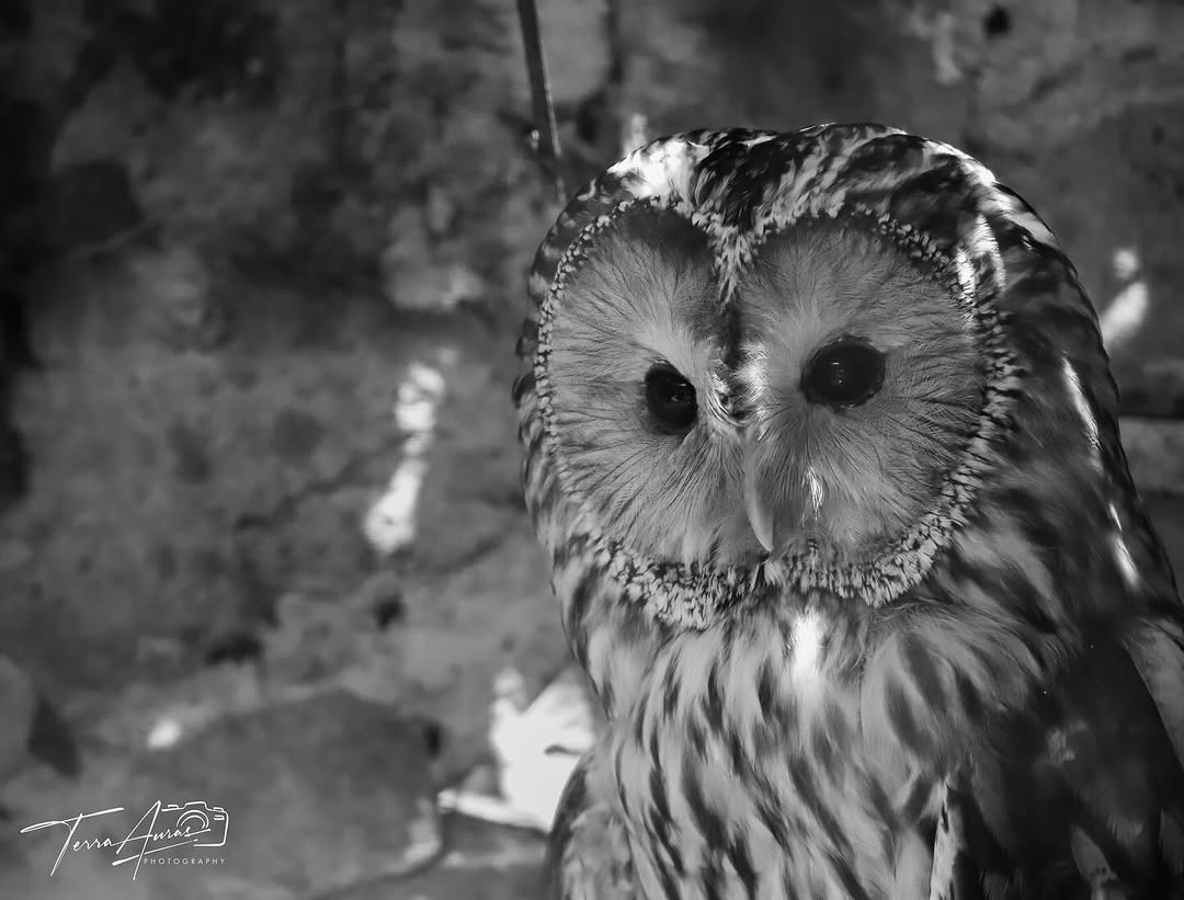 2025-08-03_08-10-55_UTC