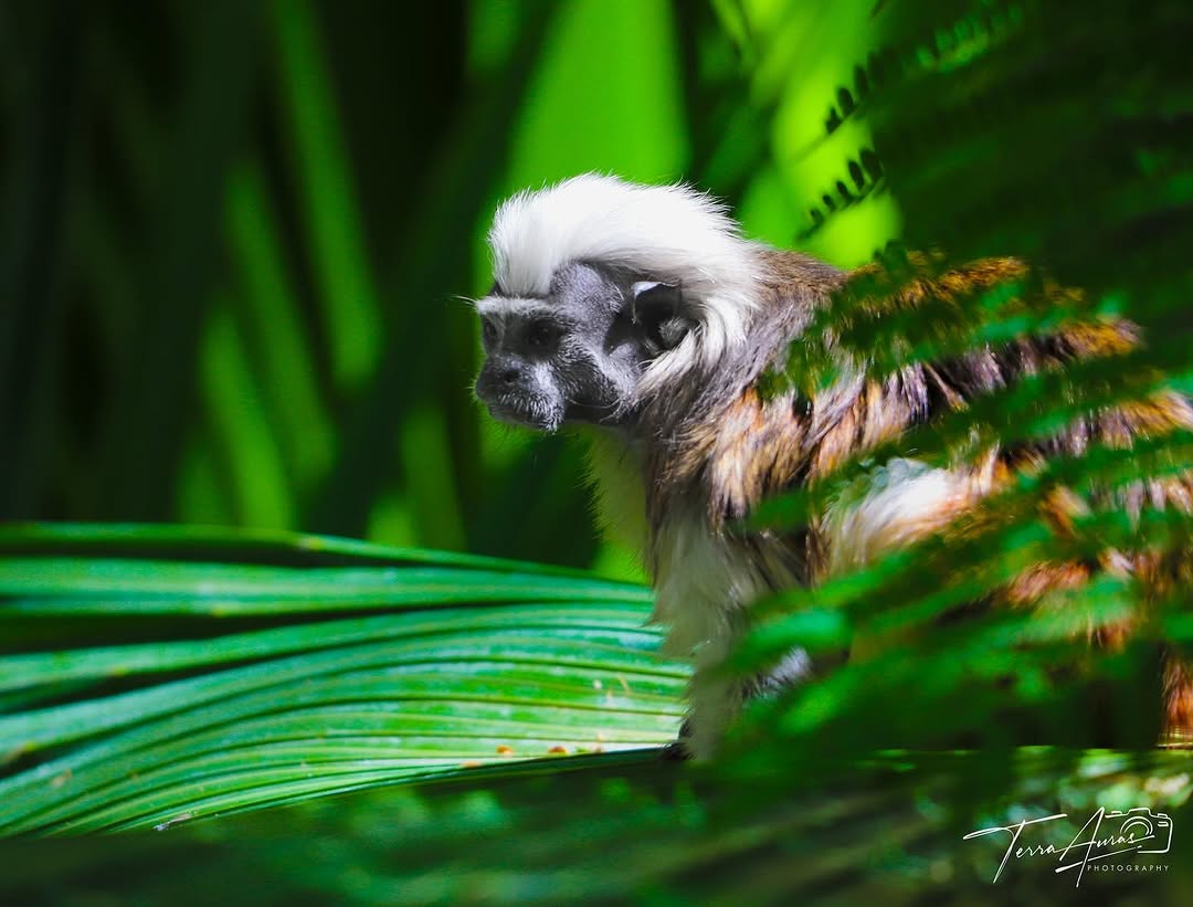 2025-08-13_18-05-47_UTC