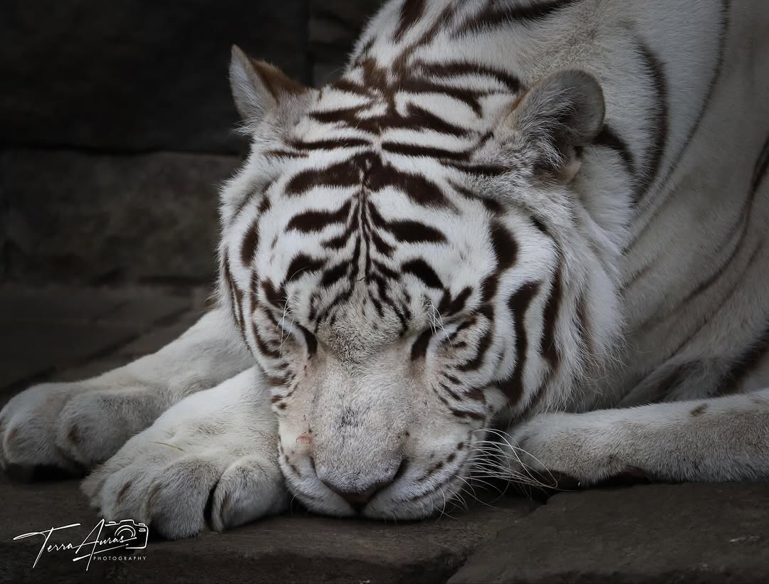 2025-08-19_12-11-22_UTC