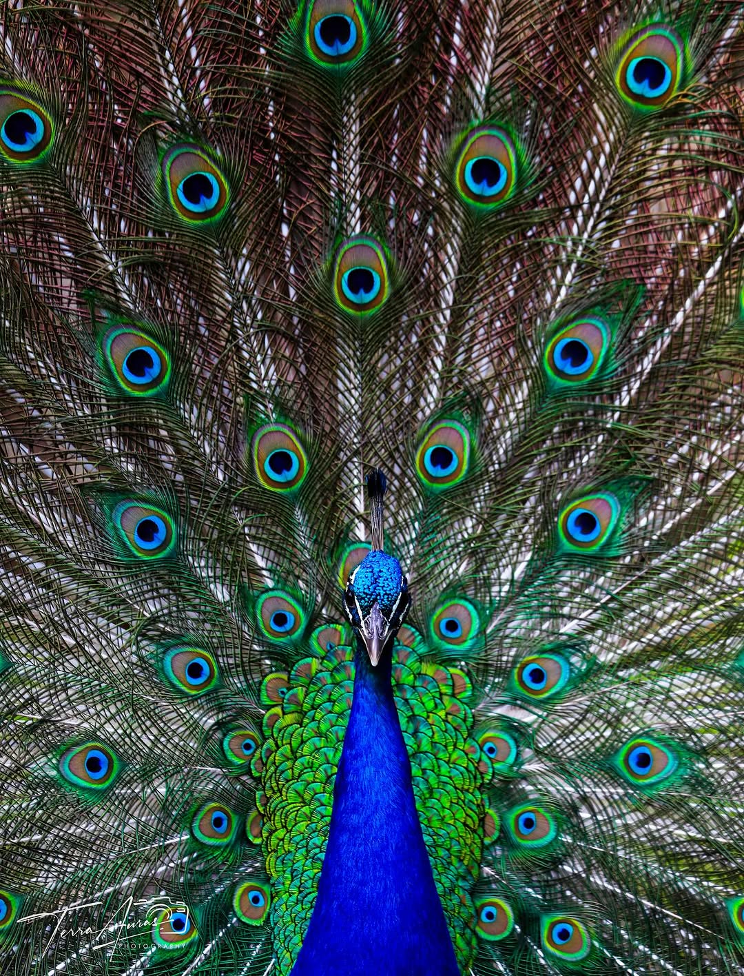 2025-08-25_10-51-39_UTC