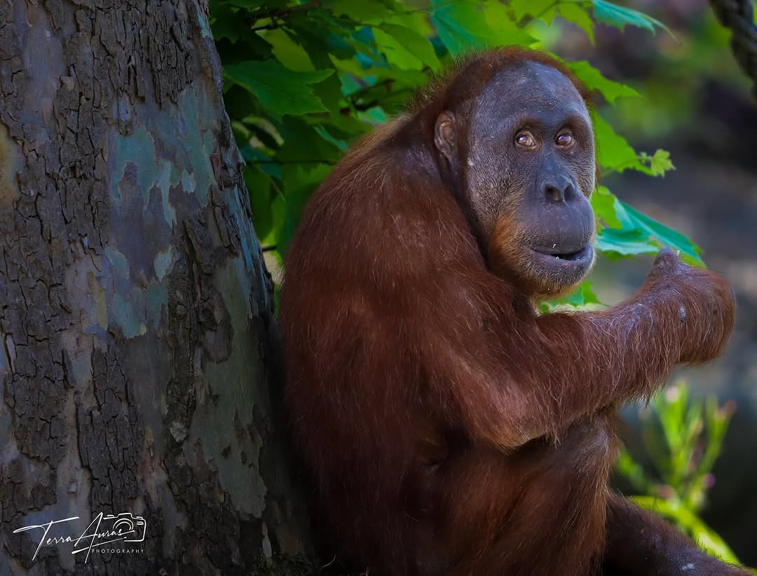 2025-08-31_18-04-30_UTC