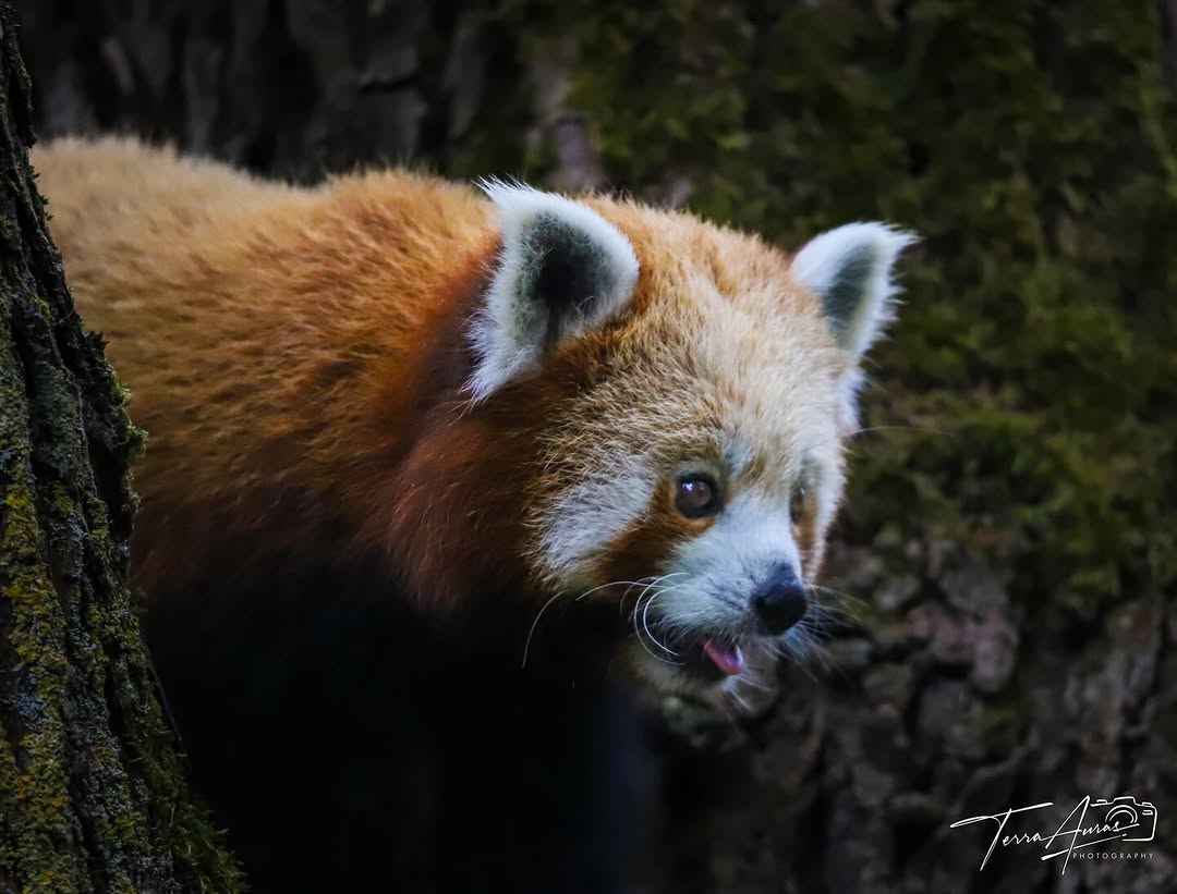 2025-09-14_06-13-34_UTC