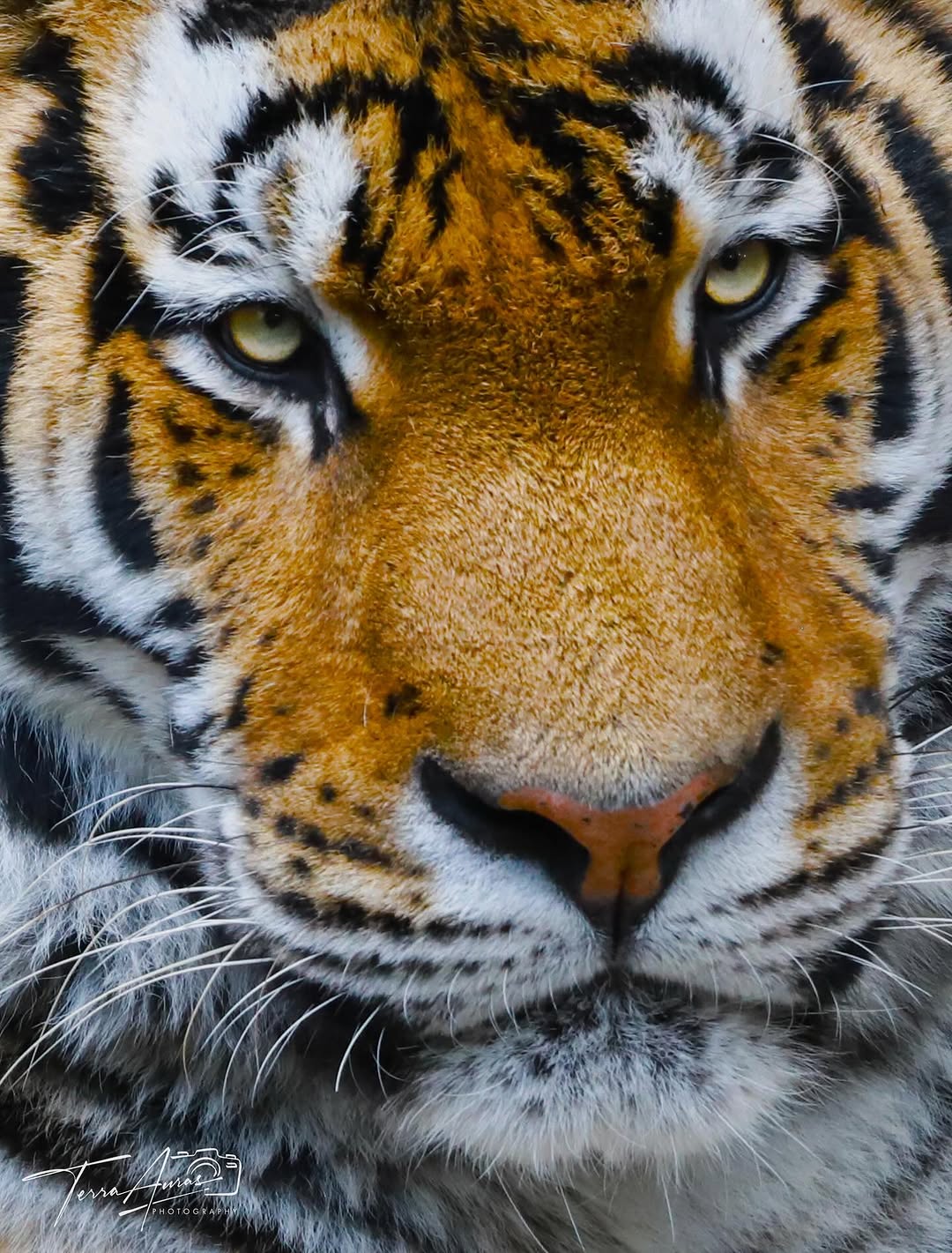 2025-10-19_11-15-46_UTC