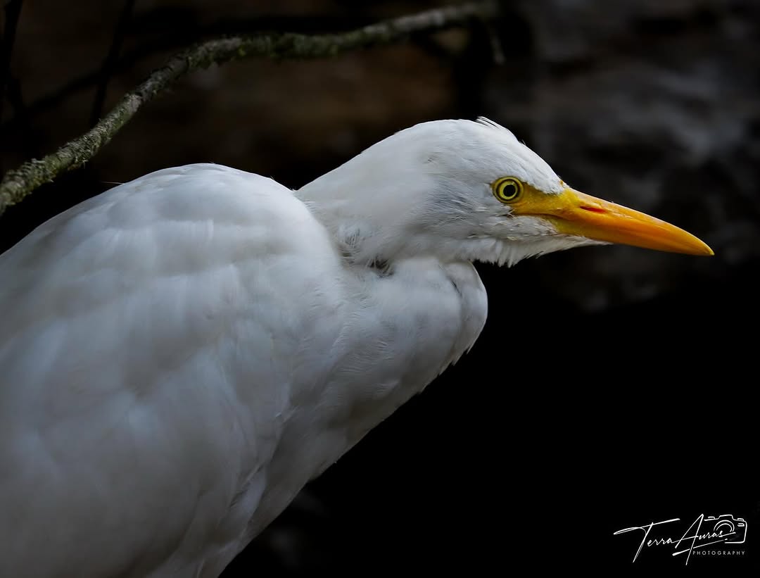 2025-11-02_15-28-51_UTC