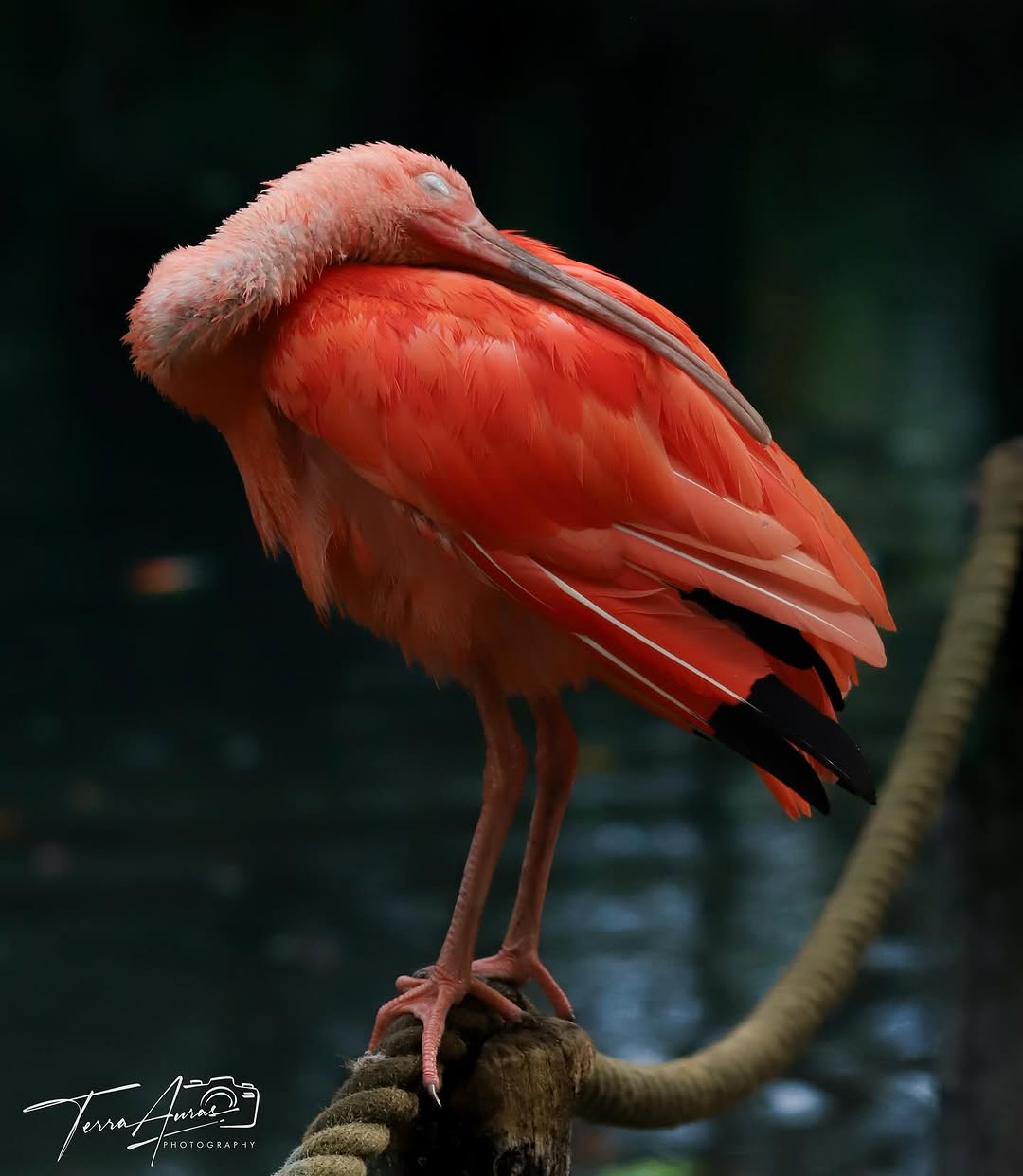 2025-11-17_10-01-41_UTC