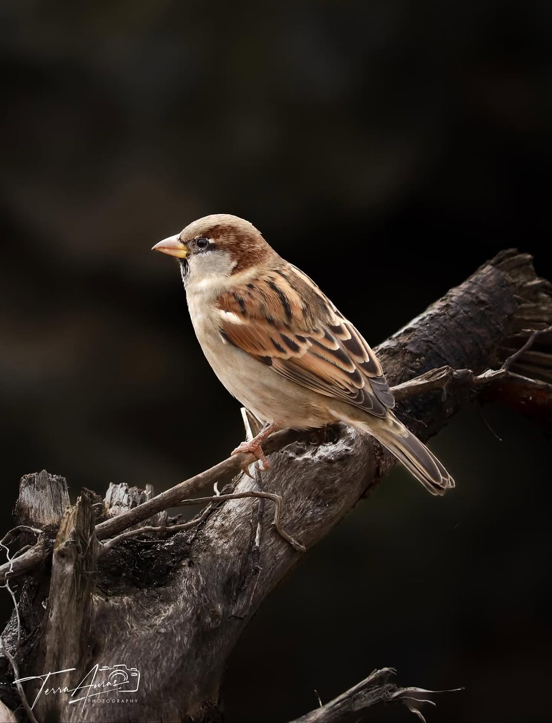 2025-11-26_17-06-22_UTC