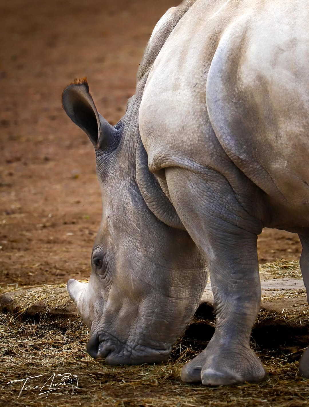 2025-12-01_20-34-00_UTC