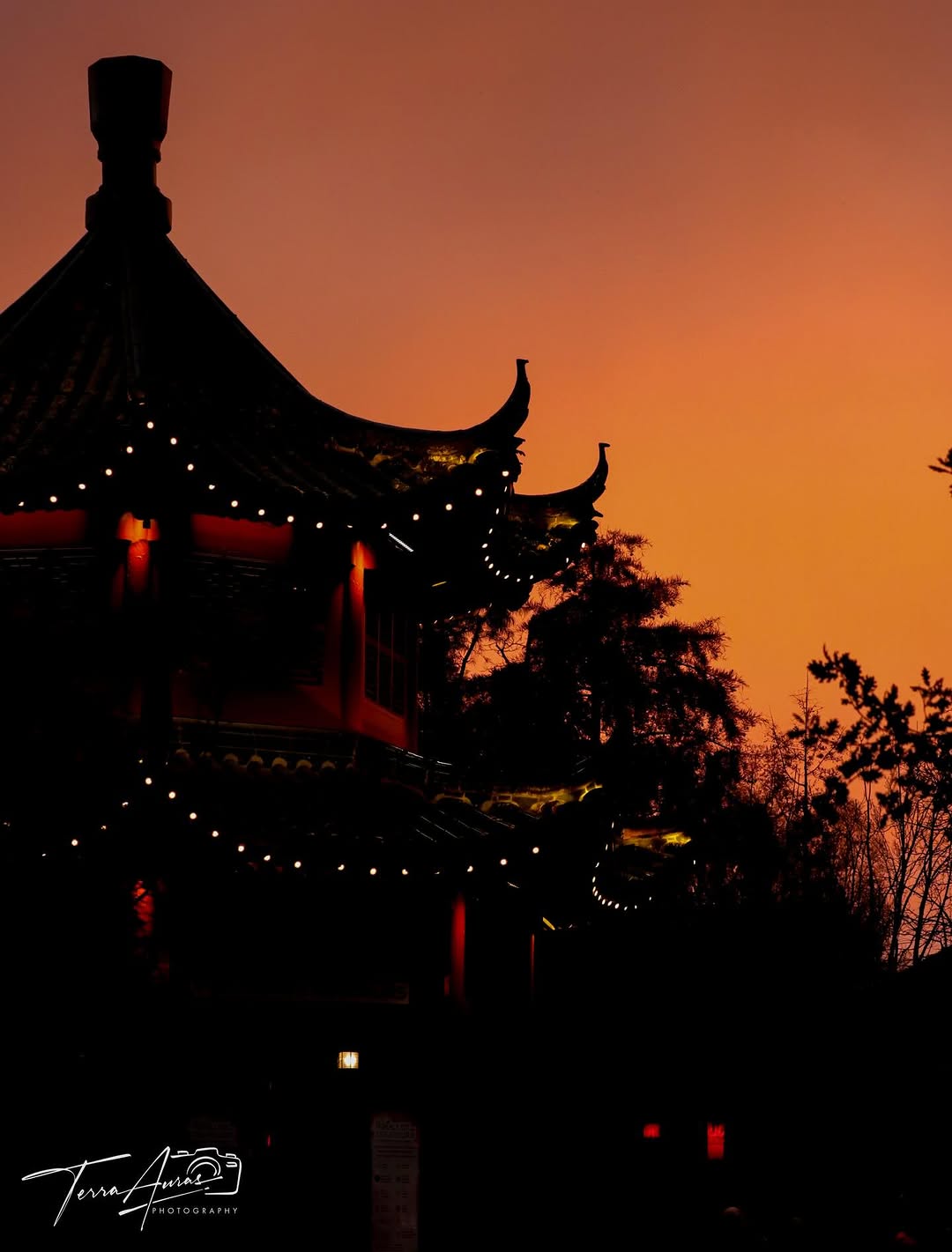 2025-12-07_15-56-01_UTC