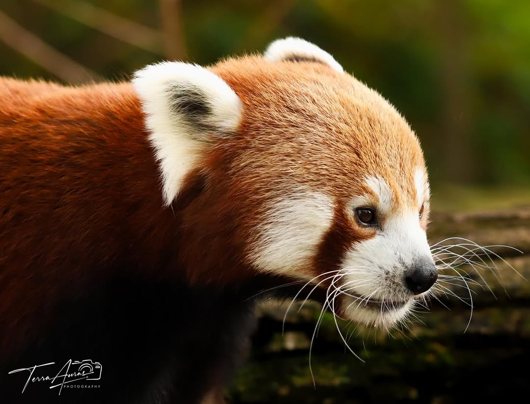 2025-12-14_14-31-53_UTC