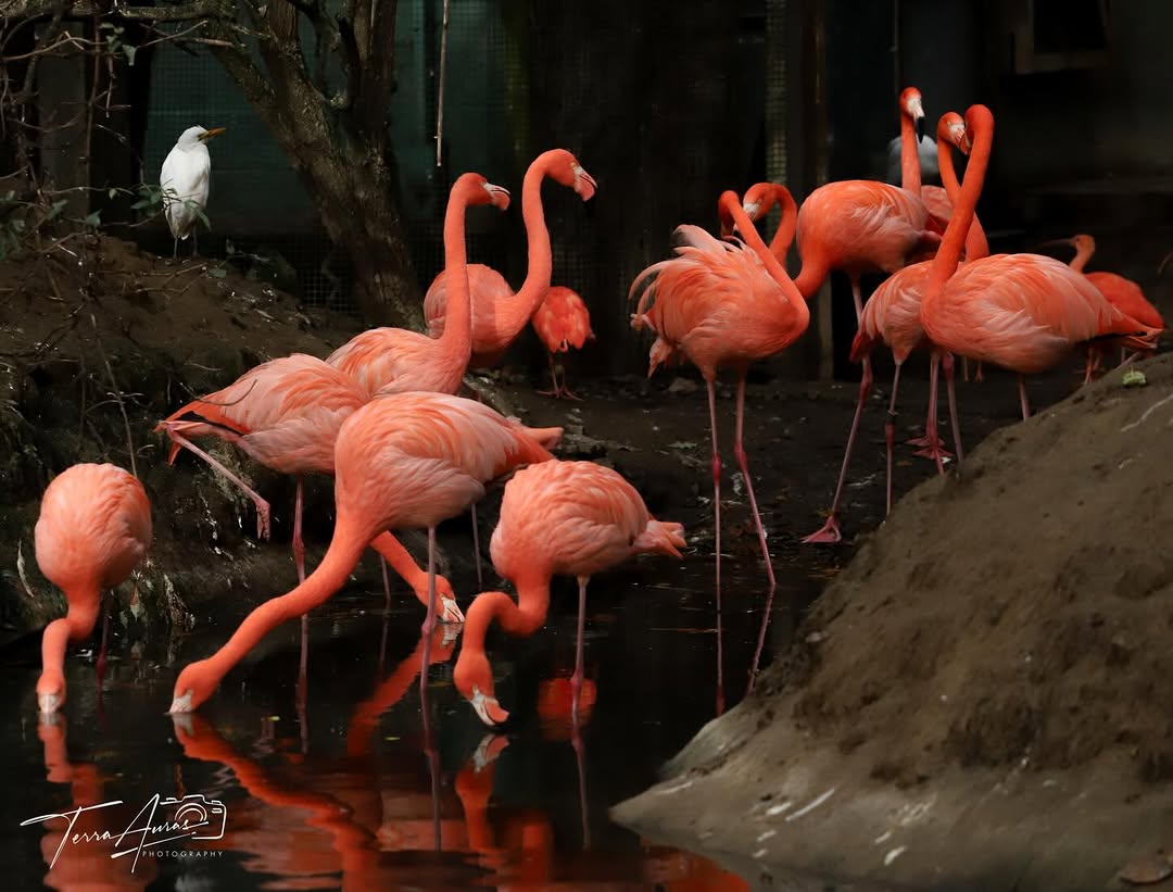 2025-12-22_13-46-37_UTC