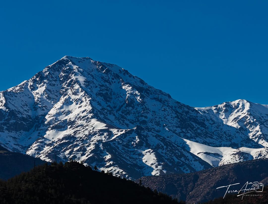 2026-03-20_15-45-51_UTC